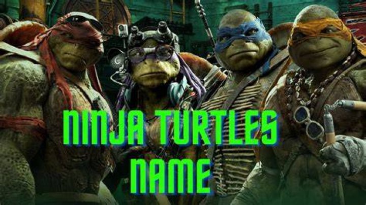 4 Ninja Turtles Names: Exploring the Iconic Heroes in a Half Shell
