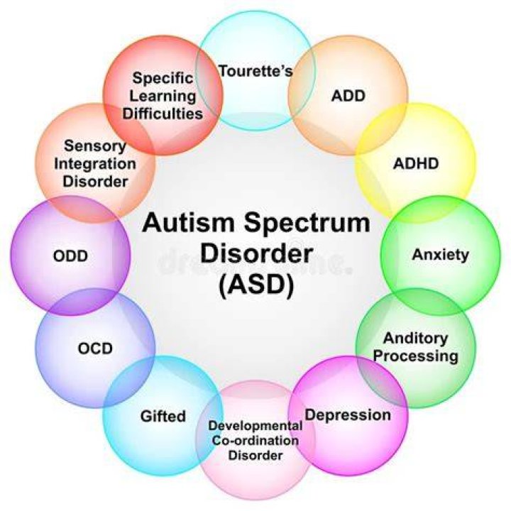 Center for Autism and Related Disorders: Your Comprehensive Guide to Understanding, Treating, and Supporting Autism