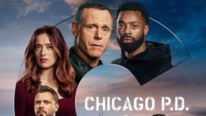 Chicago P.D.: A Deep Dive Into the Cast and Show