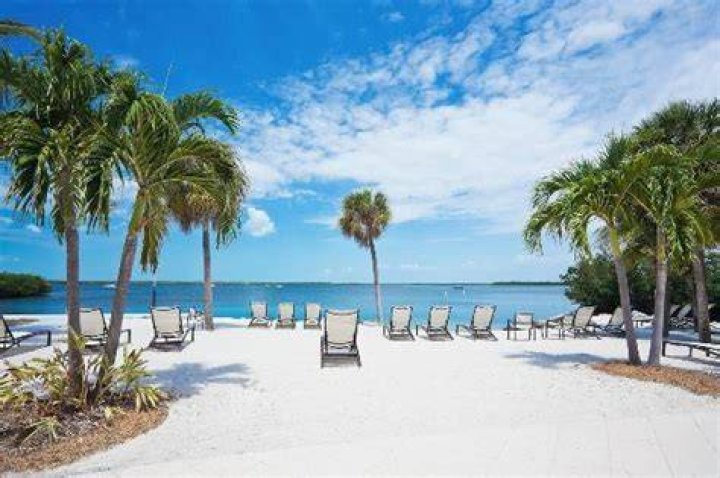 Discover the Best of Hampton Inn Key Largo FL Photos