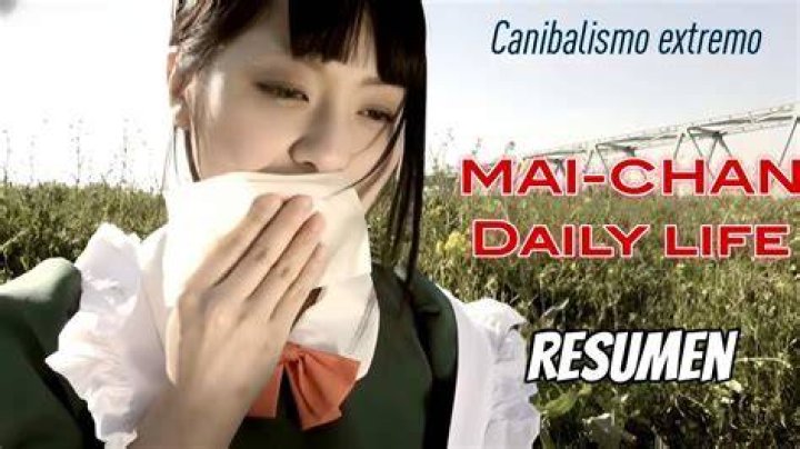 Exploring Maichan's Daily Life: A Comprehensive Look into Her Routine