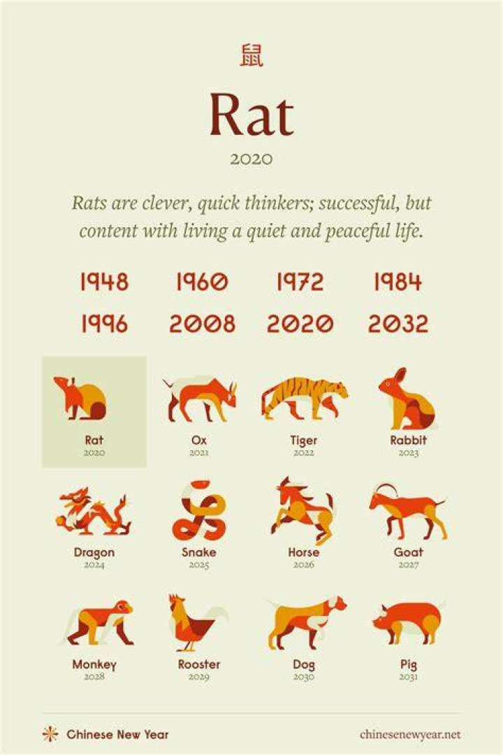Understanding Rat Chinese Zodiac Enemy: A Comprehensive Guide