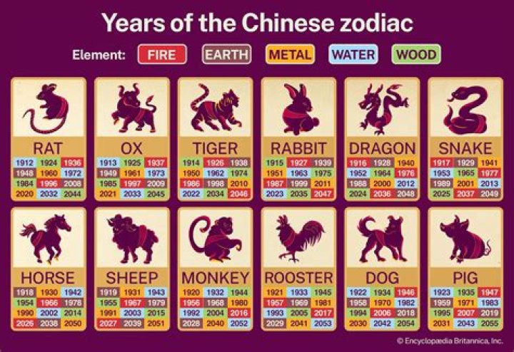 Unveiling the Mysteries of the 1974 Chinese Zodiac: A Comprehensive Guide